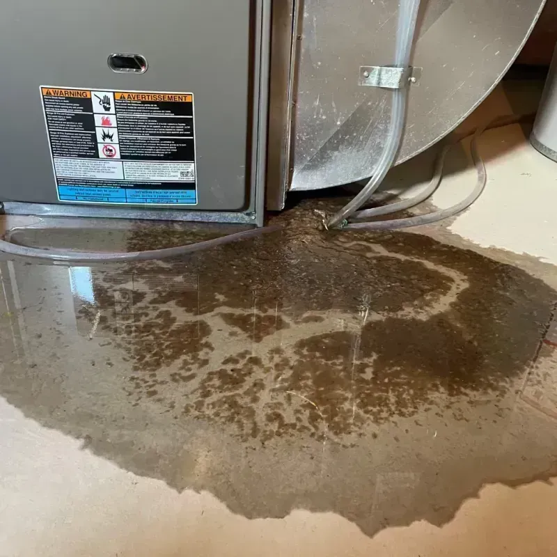 Appliance Leak Cleanup in Arcadia, SC